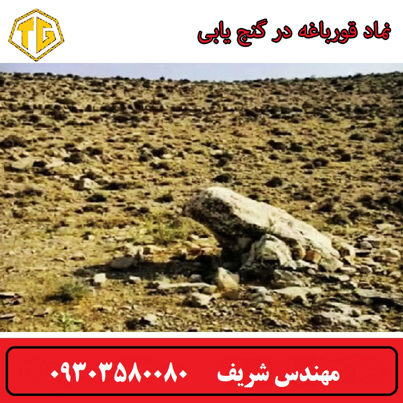 نماد قورباغه در گنج یابی