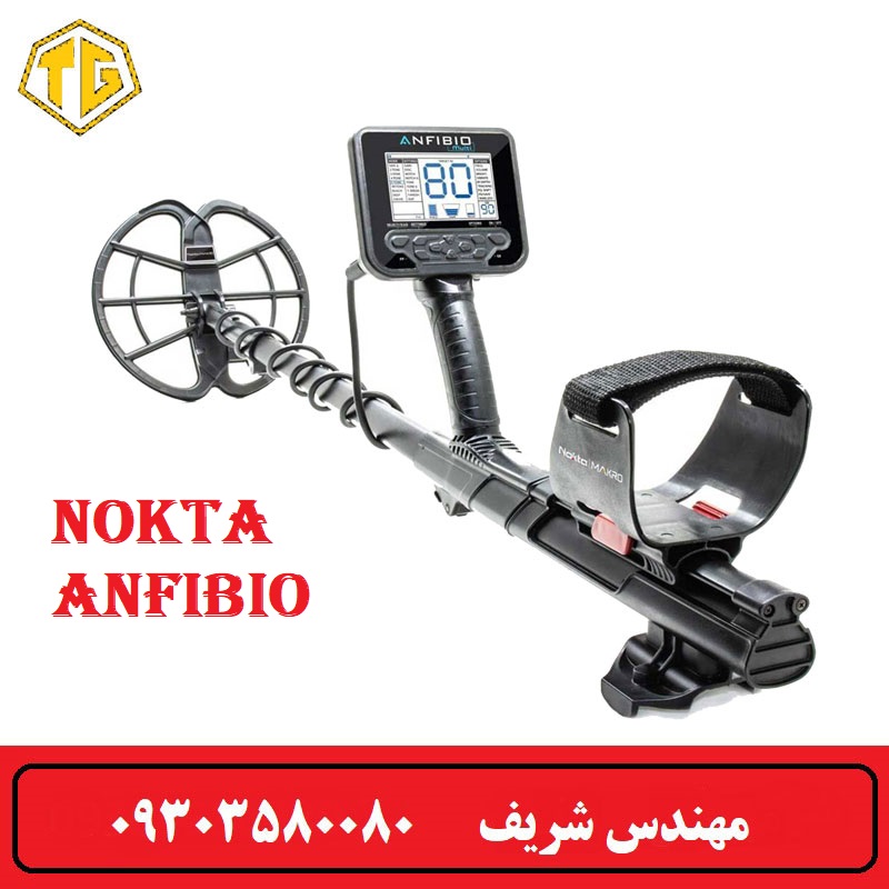 فلزیاب آنفیبیو
