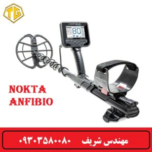 فلزیاب آنفیبیو