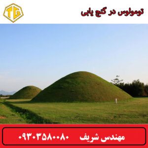 تومولوس در گنج یابی