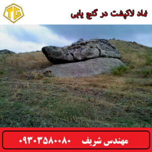 نماد لاکپشت در گنج یابی