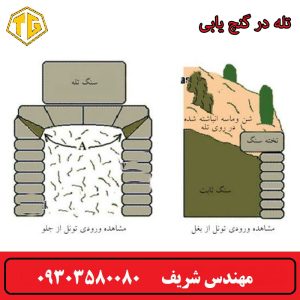 تله در گنج یابی