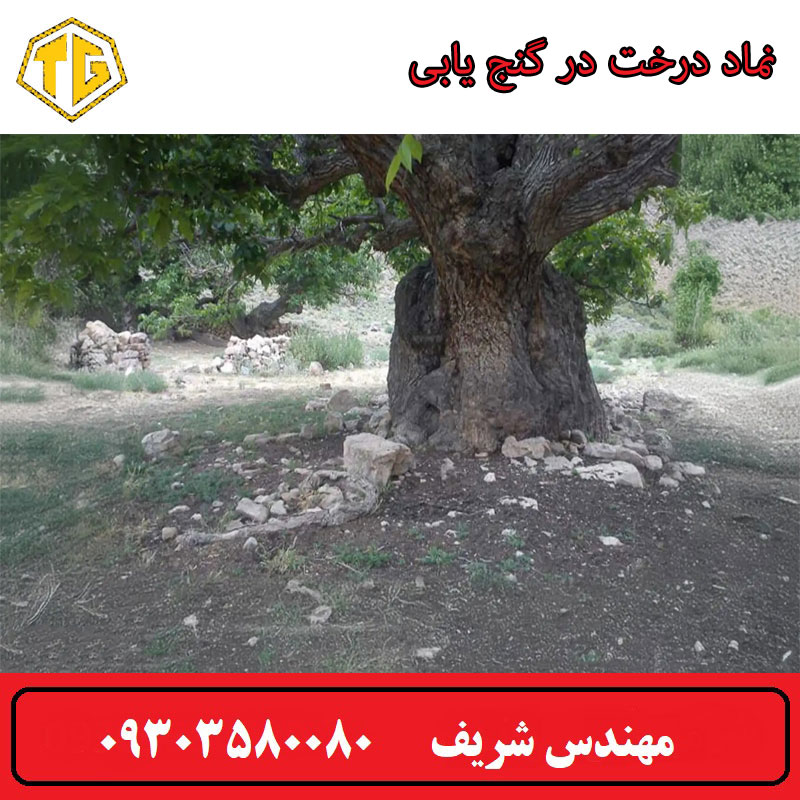 نماد درخت در گنج یابی